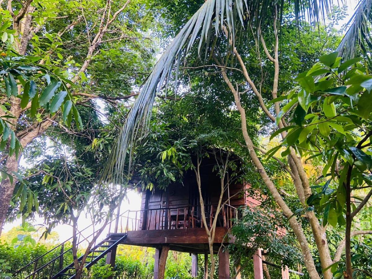 Sigiri Charuka Resort Sigiriya Exteriör bild
